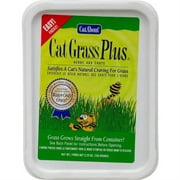 Gimborn CatA'bout Cat Grass Plus Multi-Cat