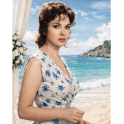 Gina Lollobrigida 8x10 Glossy Photo #GLA04
