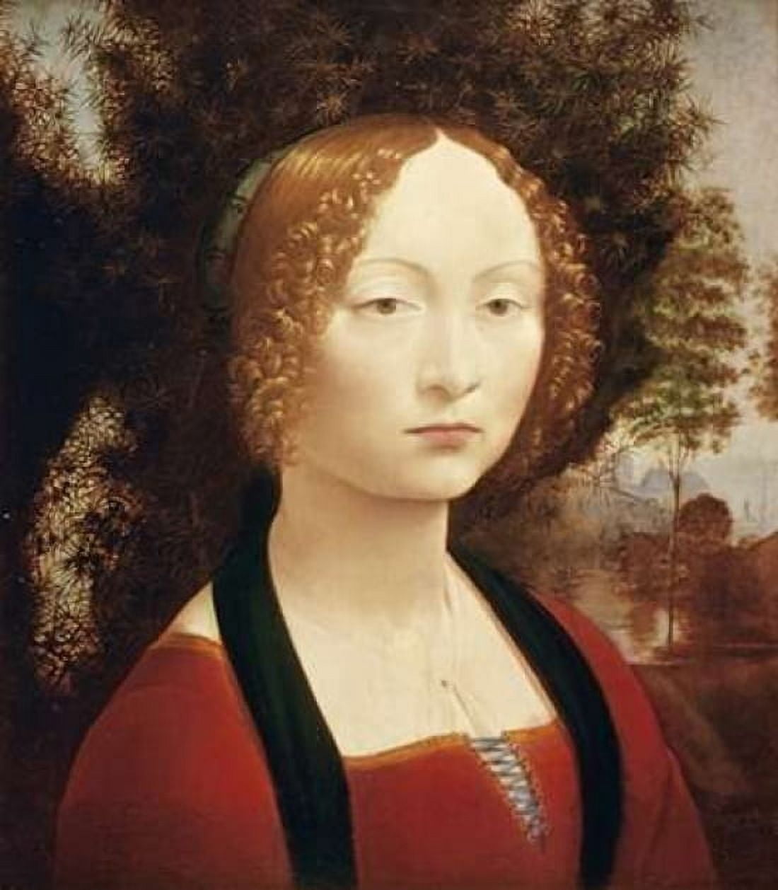 Ginevra DeBenci Canvas Art - Leonardo Da Vinci (24 x 24)