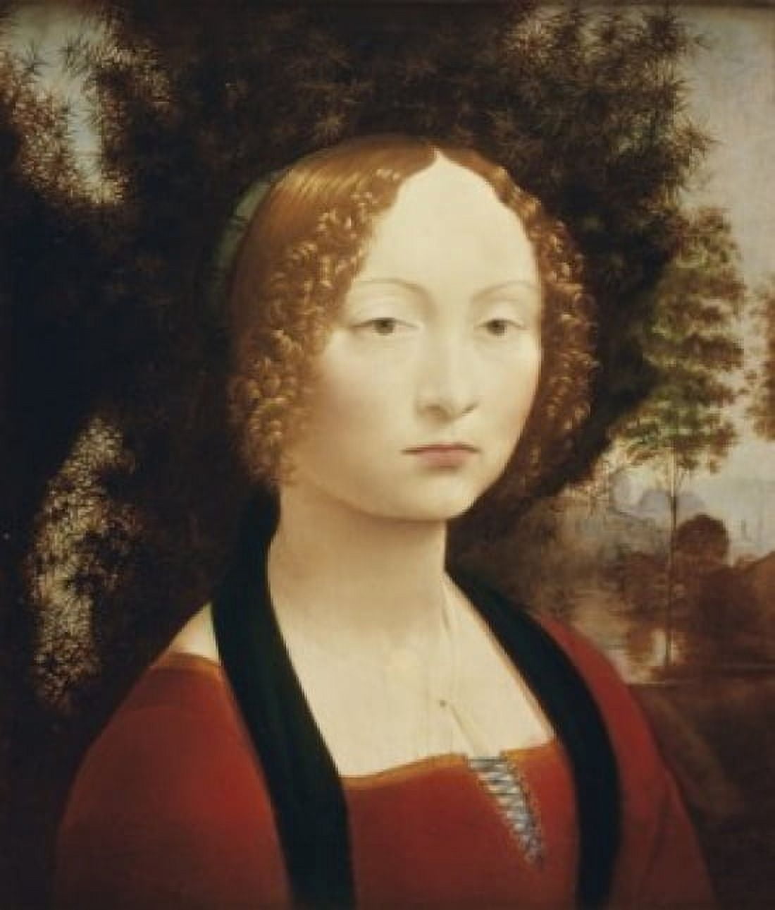 Ginevra deBenci  ca 1474 Leonardo da Vinci (1452-1519Italian)  Oil on wood panel  National Gallery of Art Washington DC Canvas Art - Leonardo da Vinci (18 x 24)