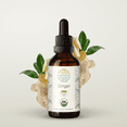 thumbnail image 1 of HerbEra Ginger Tincture, Organic Herbal Dietary Supplement for Digestive Support, Certified Organic Ginger (Zingiber officinale) Dried Root Extract, Natural, Alcohol-Free, Drops 2 oz, 1 of 8
