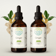 thumbnail image 1 of HerbEra Ginger Tincture, Herbal Dietary Supplement for Digestive Support, Ginger (Zingiber officinale) Dried Root Extract, Natural, Alcohol-Free, Drops 2x4 oz, 1 of 6
