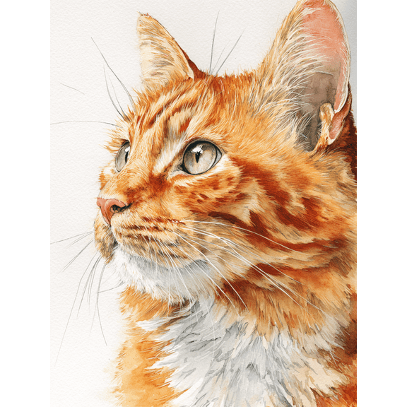 Ginger Cat Canvas Print, Cat Portrait Wall Art for Living Room Bedroom Office Study Kitchen Dining Room Decor