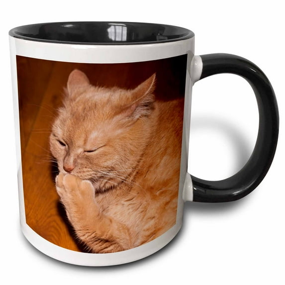 3drose, Ginger Cat in a Philosophical Mood, 15oz Two-tone Black Mug
