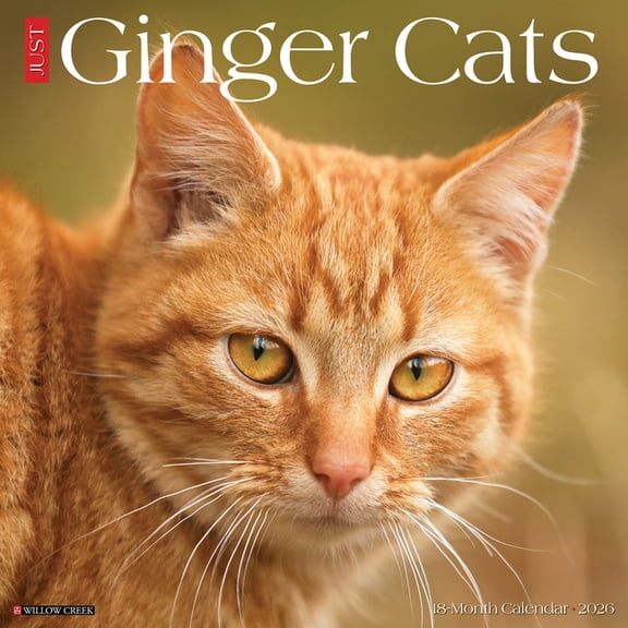 Ginger Cats 2026 Wall Calendar, (Paperback)