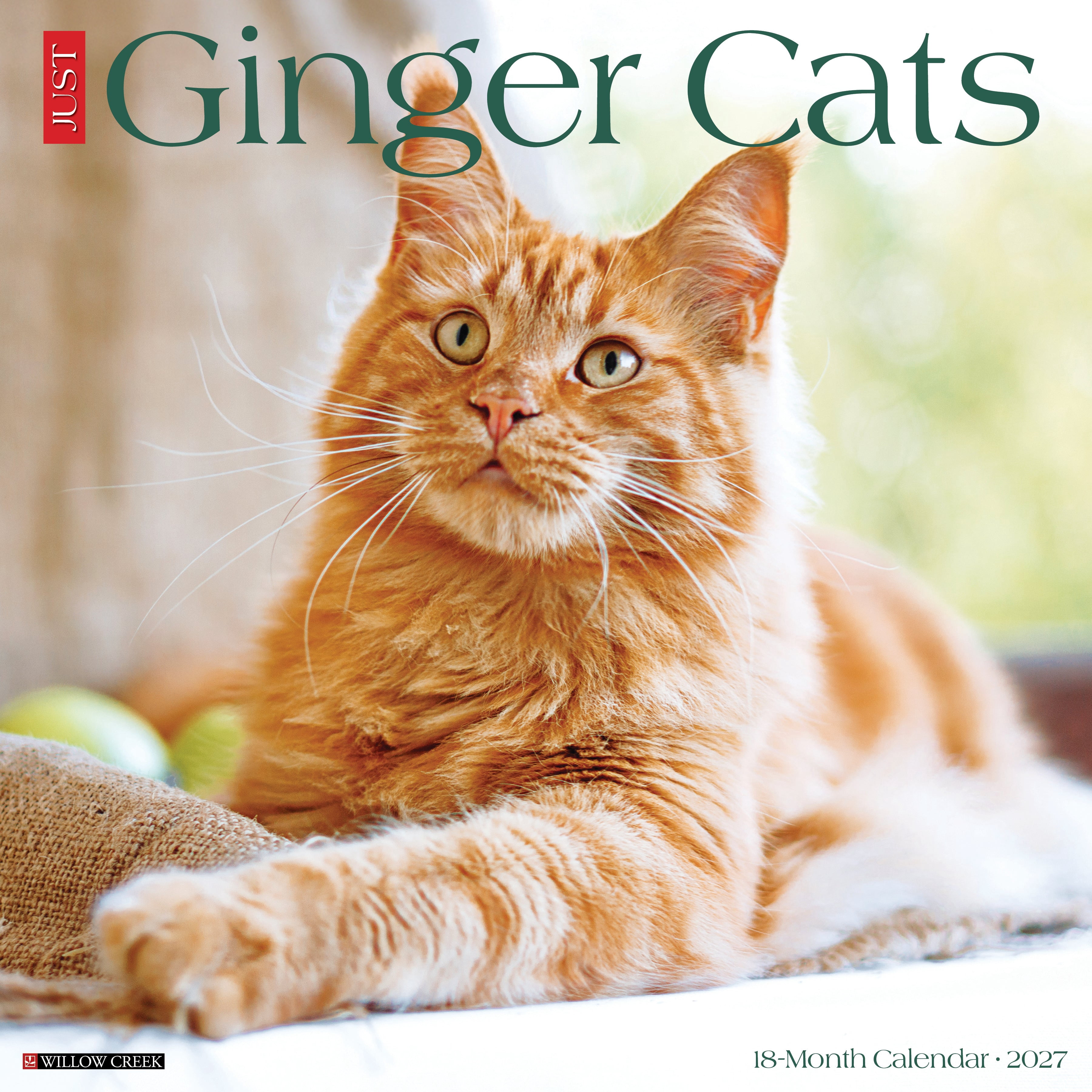Willow Creek Press, Ginger Cats 2027 Wall Calendar
