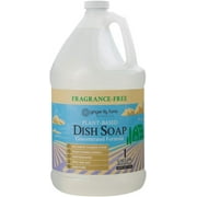 Ginger Lily Farms Botanicals Plant-Based Liquid Dish Soap, Concentrated Formula with Max Grease Cleaning Power, Cruelty-Free, Fragrance-Free, 1 Gallon Refill (128 Fl. Oz.)