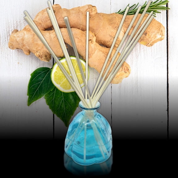 Ginger Lime - Scent Sticks