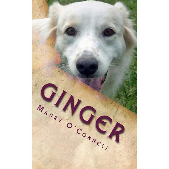 Ginger: Little Dog, Big Trouble (Paperback)