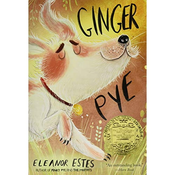 Pre-Owned Ginger Pye Paperback