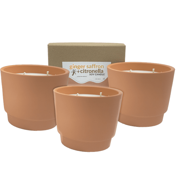 Ginger + Saffron - Citronella Soy Candle 10oz 3 Pack, Best Bee Brothers
