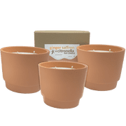Ginger + Saffron - Citronella Soy Candle 10oz 3 Pack, Best Bee Brothers