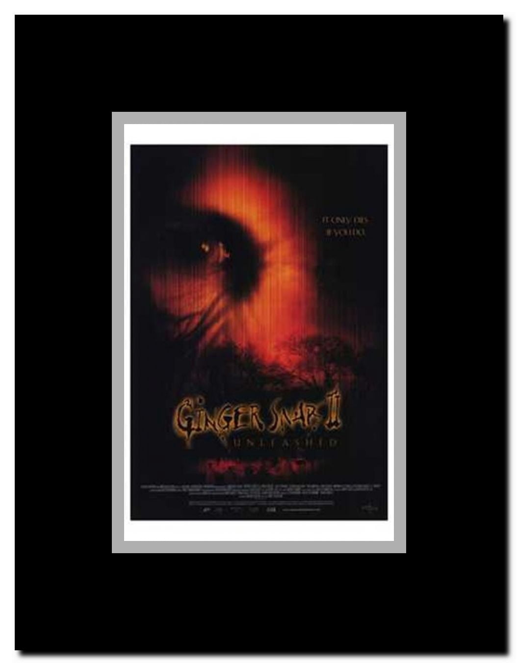 Ginger Snaps II: Unleashed Framed Movie Poster
