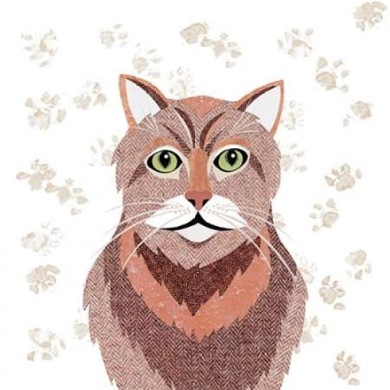 Ginger Tom Canvas Art - Simon Hart (24 x 24)