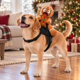Kitten Riding Dog Gingerbread Man Dog Costume, Gingerbread Man Riding, Pet Cosplay ...