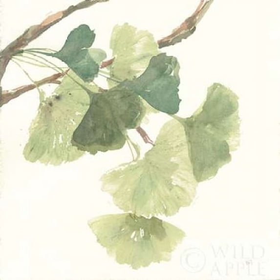 Gingko Leaves I Light Poster Print by Chris Paschke