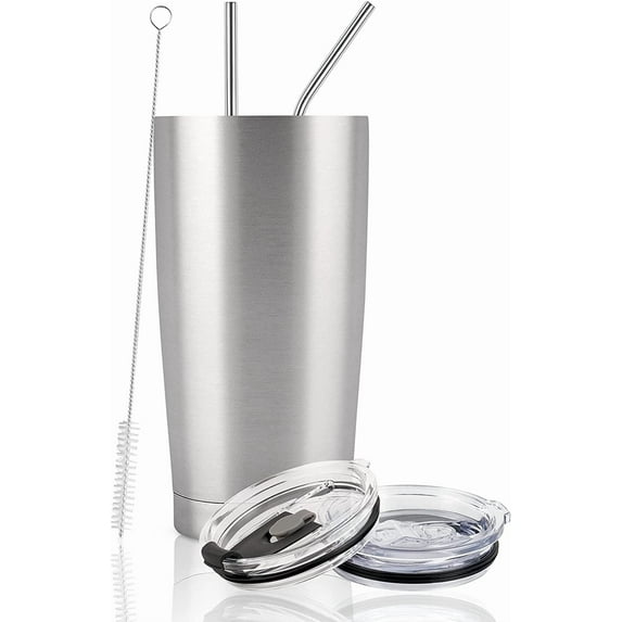Gingprous 20 oz Stainless Steel Travel Tumblers with Lids Straws, Vacuum Insulated Tumblers, Silver
