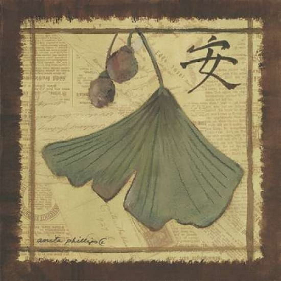 Ginko Leaves II Canvas Art - Anita Phillips (24 x 24)