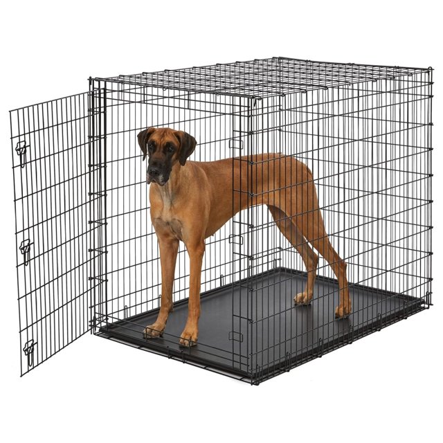 Ginormous Single Door 54Inch Dog Crate for XXL Dogs Breeds; Great Dane