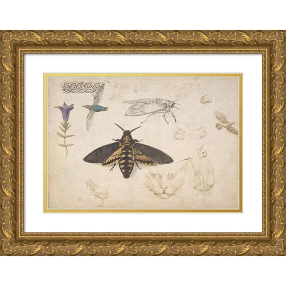Giorgio di Giovanni 14x11 Gold Ornate Wood Frame and Double Matted Museum Art Print Titled - Studies of a Gentian, Moth, Birds, Cats, Interlacing Motif, and Greek Frets (1530-40)
