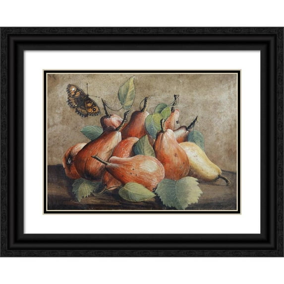 Giovanna Garzoni 24x18 Black Ornate Framed Double Matted Museum Art Print Titled: Still Life with Pears and a Butterfly