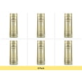 thumbnail image 1 of Giovanni Smoothing Castor Oil Shampoo for All Hair Types, 13.5 fl oz - 6 Pack Bundle, 1 of 1