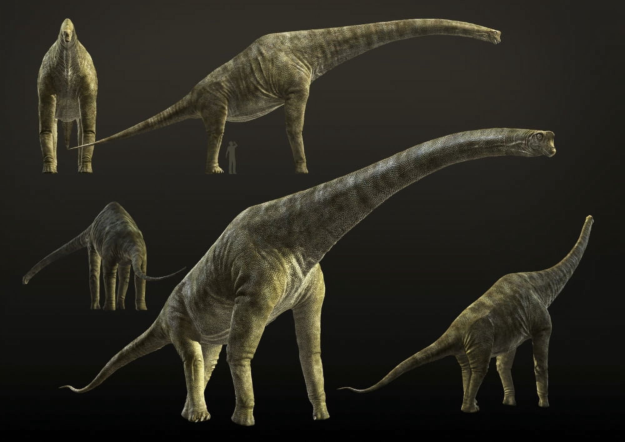 Giraffatitan brancai a sauropod dinosaur from the Late Jurassic period Canvas Art - Rodolfo NogueiraStocktrek Images (34 x 24)