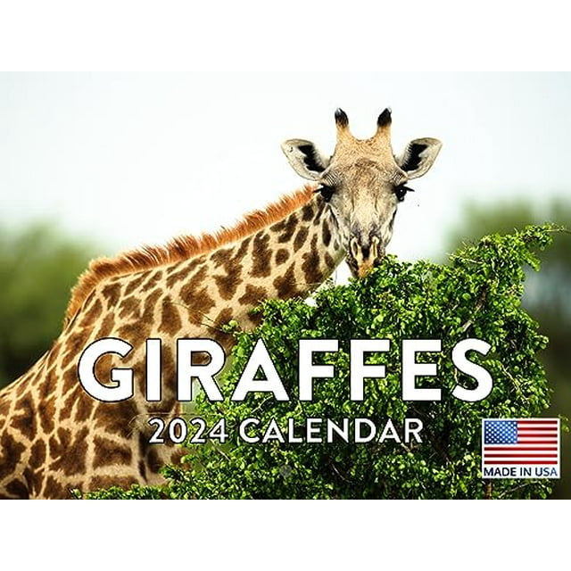 Giraffe Calendar 2024