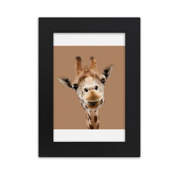 Giraffe Camera Observation Action Desktop Photo Frame Picture Display Art Painting Exhibit
