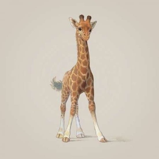 Giraffe Canvas Art - John Butler (24 x 24)