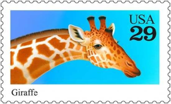 Giraffe Canvas Art - US POSTAL SERVICE (24 x 36)