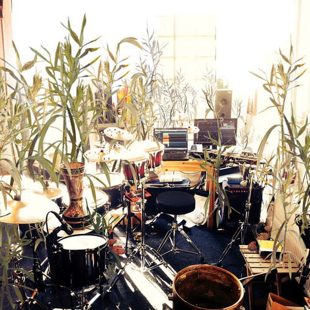 Giraffe - Climate - Music & Performance - Vinyl