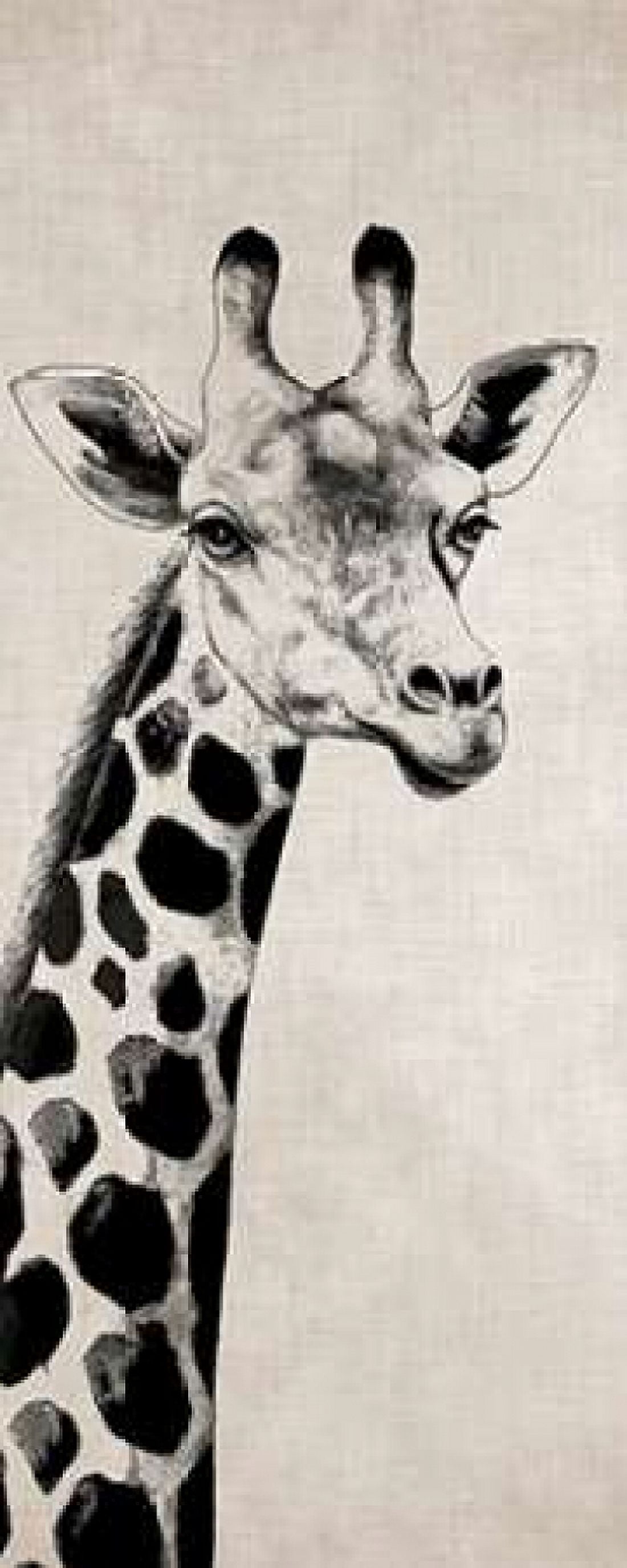 Giraffe I Canvas Art - Vivien Rhyan (24 x 48)