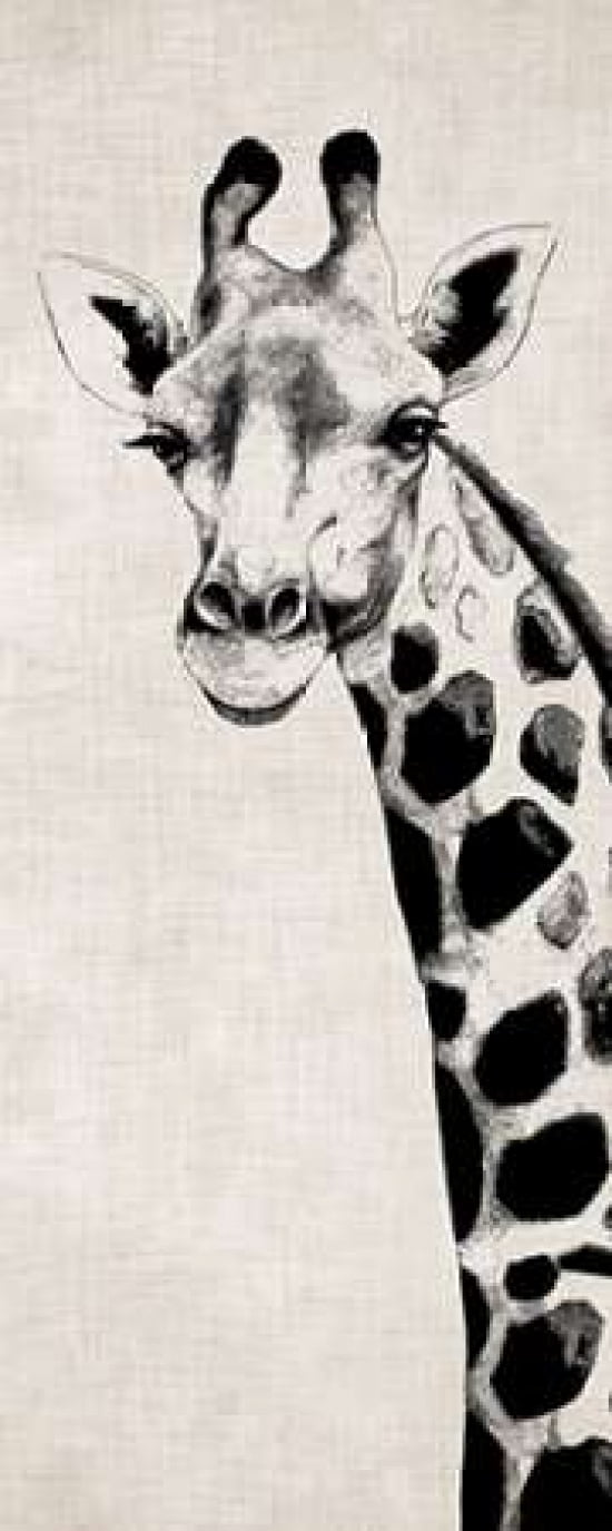 Giraffe II Canvas Art - Vivien Rhyan (10 x 20)