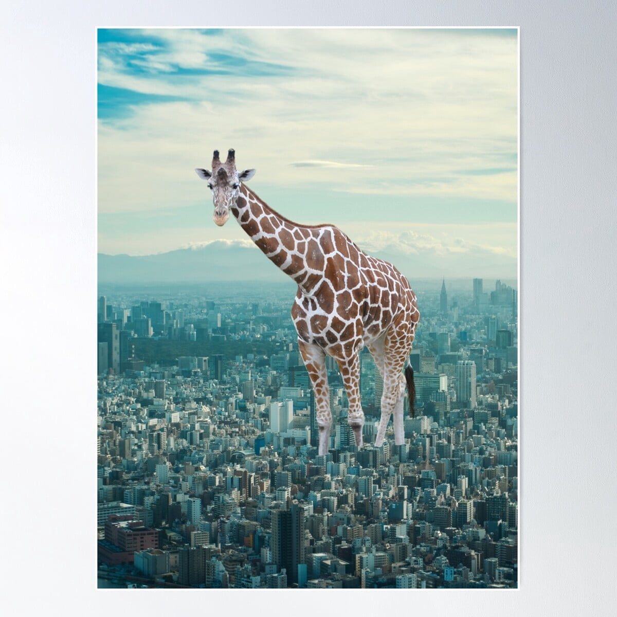 Giraffe In Town Poster Wall Art, Poster Only - Walmart.com