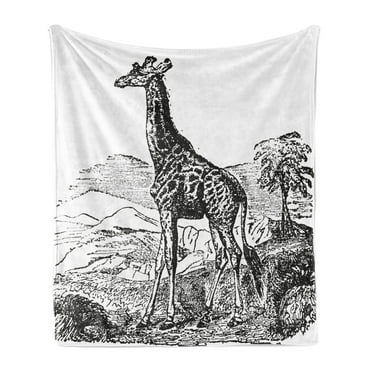 Giraffe Soft Flannel Fleece Throw Blanket, Engraving Natural History Trees Hills Pattern on Plain Background, Cozy Plush for Indoor and Outdoor Use, 70" x 90", White and Charcoal Grey, by Ambesonne