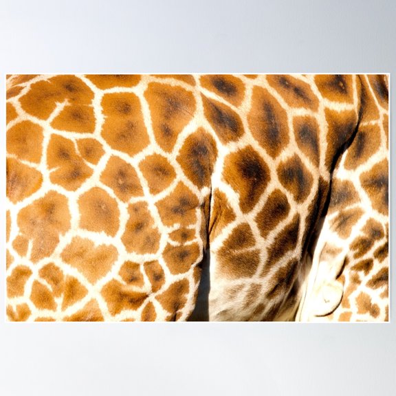 Giraffe Texture Poster Wall Art, Modern Wall Decor For Living Room Bedroom, 8x12 UNFRAMED