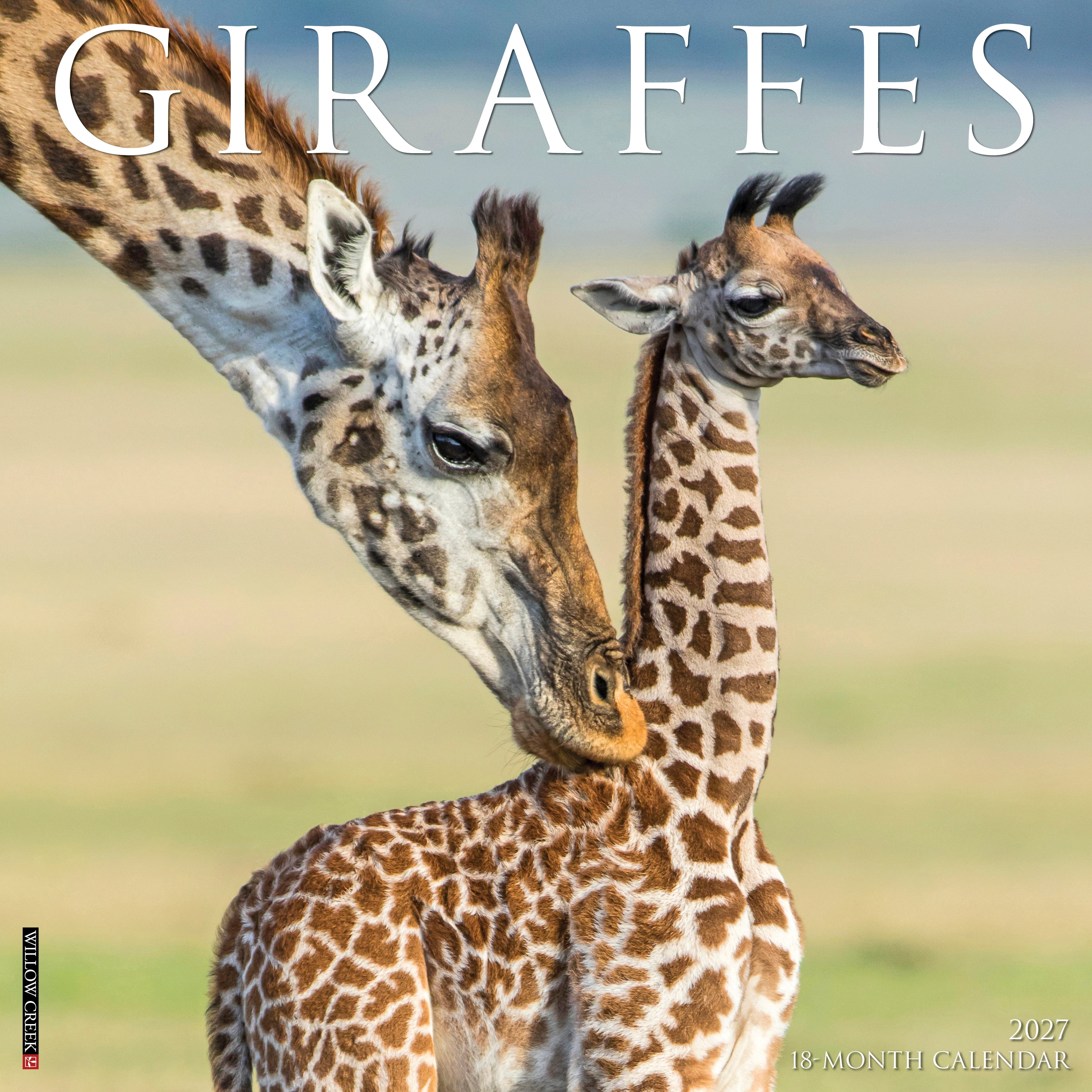 Willow Creek Press, Giraffes 2027 Wall Calendar