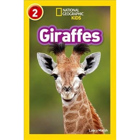 Giraffes