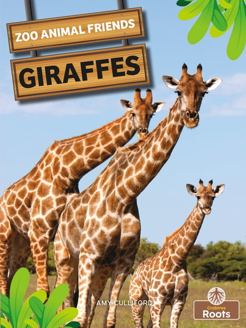 Giraffes, (Paperback)