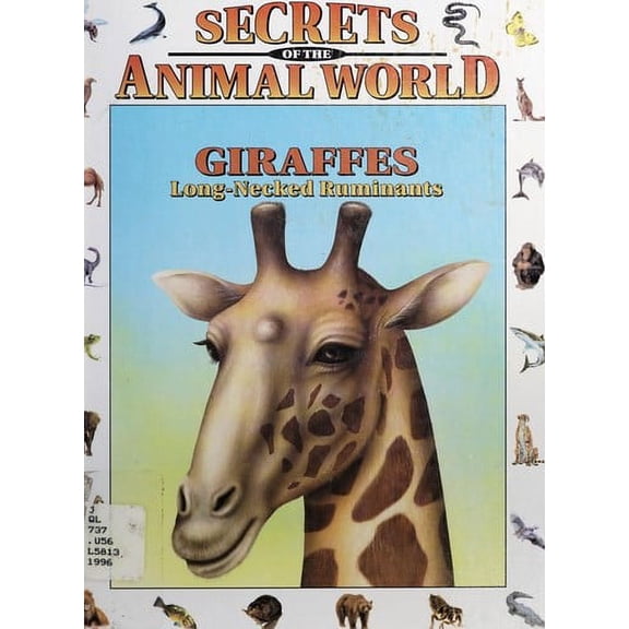 Pre-Owned Giraffes : Long-Necked Ruminants (Library Binding) 9780836814989