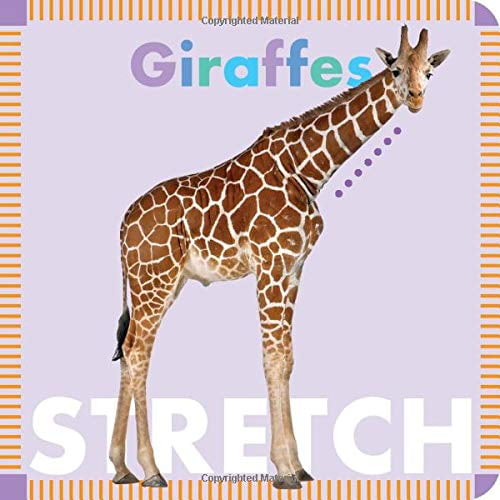 Pre-Owned Giraffes Stretch (Board book) 1681520699 9781681520698