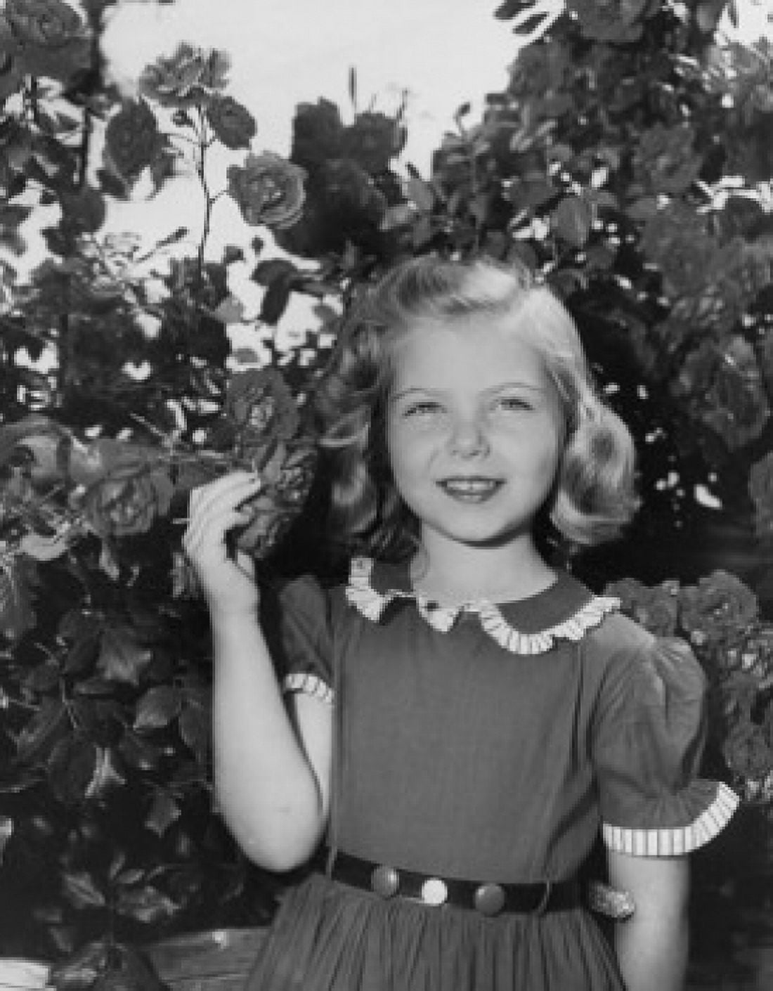 Girl (6-7) standing near rose bush Canvas Art - (18 x 24)