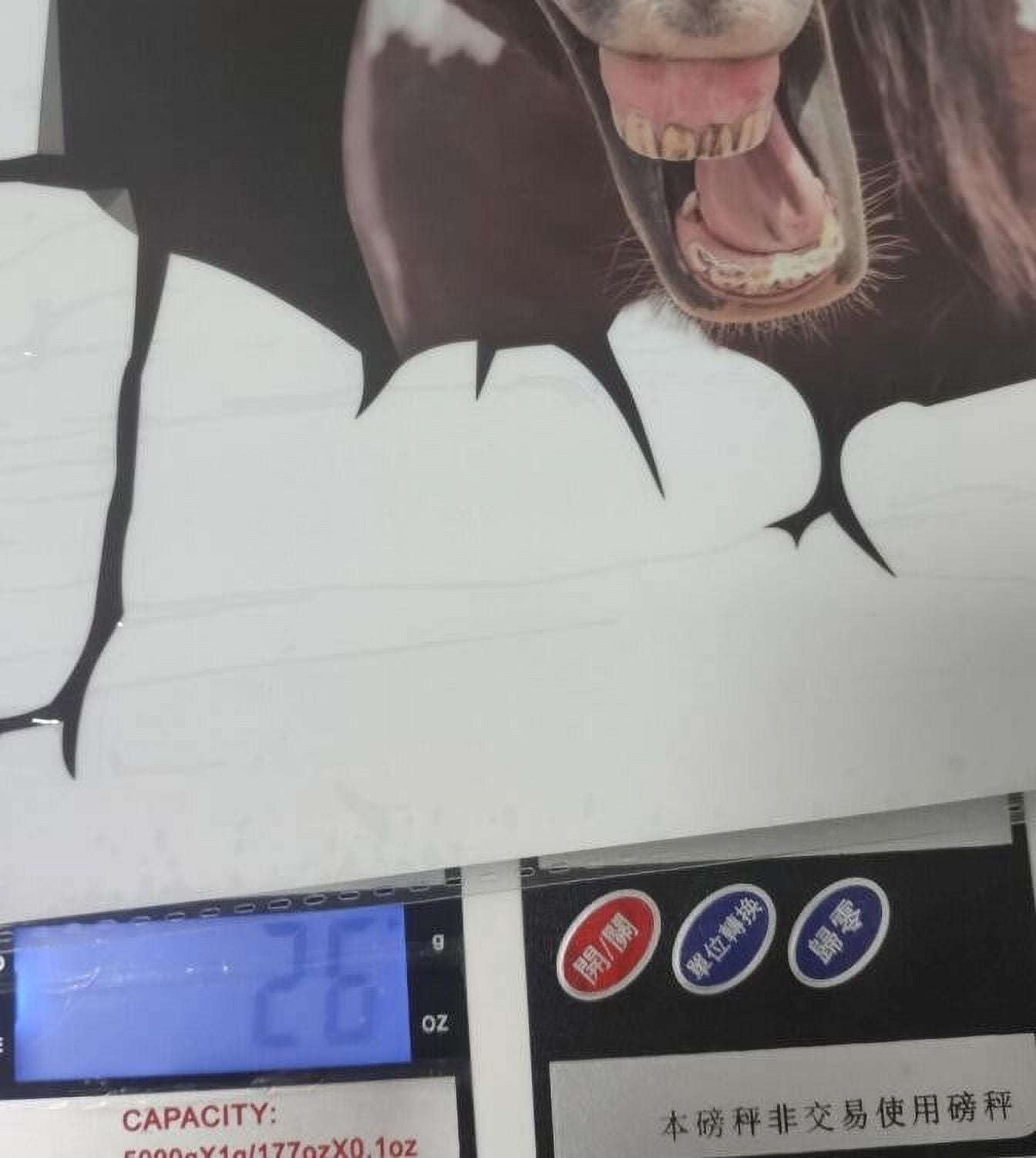 Girl Cow Sign Water Dunking Booth Easy Peel Stickers for Toddlers Girly Stickers 360 Photo Booth