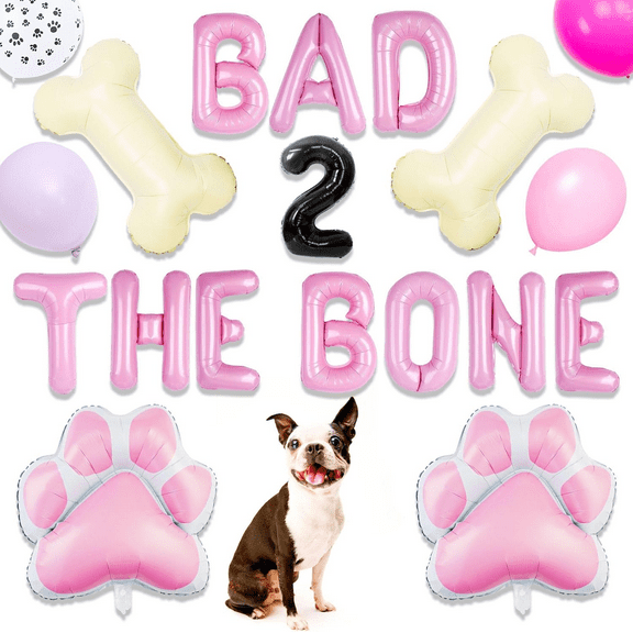 Girl Dog 2nd Birthday Party Decorations Bad 2 the Bone Balloons Bad Two The Bone Party Decorations Puppy Dog Birthday Decoration Party Supplies