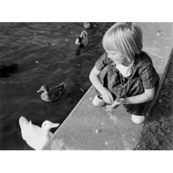 Girl Feeding Ducks in Pond Poster Print - 18 x 24 in.