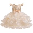 thumbnail image 1 of Girl Ruffle Tiered Tutu Gown Sleeveless Embroidery Lace Princess Dresses Party Ball Tulle Pageant Gowns for Wedding, Birthday, Size 2-10T, 1 of 4