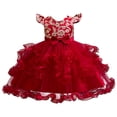 thumbnail image 1 of Girl Ruffle Tiered Tutu Gown Sleeveless Embroidery Lace Princess Dresses Party Ball Tulle Pageant Gowns for Wedding, Birthday, Size 2-10T, 1 of 4