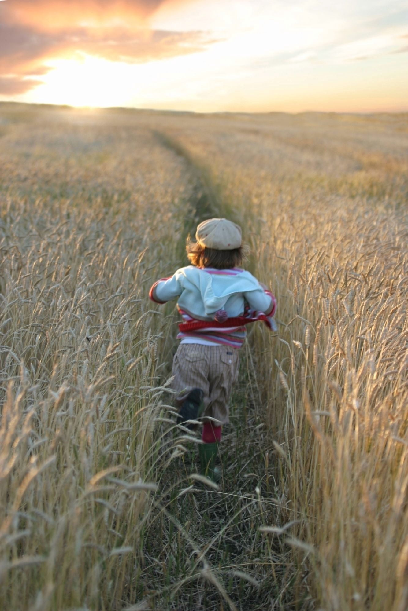 Girl Running Through Wheat Field Manitoba Canvas Art - Mirek Weischel Design Pics (11 x 17)