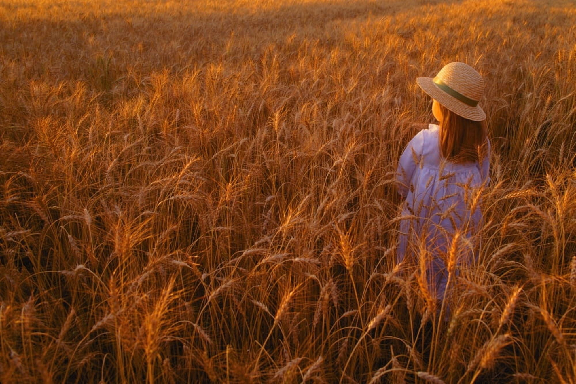 Girl With Hat In Field Canvas Art - Don Hammond Design Pics (17 x 11)